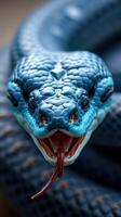 A blue snake with its mouth open photo