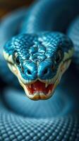 A close up of a blue snake with its mouth open photo