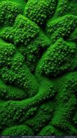A green mossy background with some trees photo