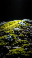 A moss covered rock with a light shining on it photo