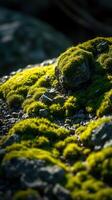 A rock covered in moss and rocks photo