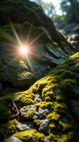 A sun shining through a moss covered rock photo
