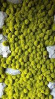 A wall covered with moss and rocks photo