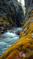 A river flowing through a rocky canyon photo
