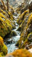 A stream running through a rocky area with moss photo