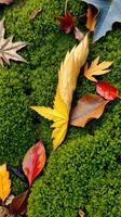 A pile of leaves photo