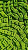 An aerial view of a maze made of green grass photo
