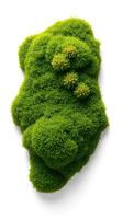 A moss covered rock with a small plant growing on it photo