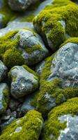 A close up of a bunch of rocks covered in green moss photo