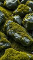 A close up of rocks covered in green moss photo