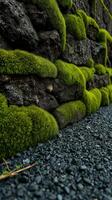A wall covered in moss and rocks photo