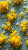 A close up of yellow fungus on a surface photo