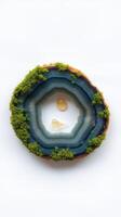 A blue agate with moss on it photo