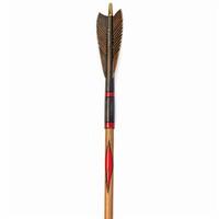 Wooden arrow pointing upwards with metal tip and feather fletching photo