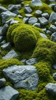 A moss covered rock with a green ball on top photo
