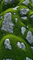 A green moss covered rock surface with rocks and grass photo