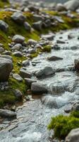 A small stream with rocks and grass photo