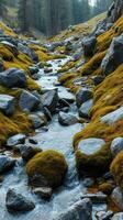 A stream of water photo