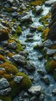 A stream running through a rocky area with green moss photo