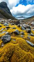A field of rocks and moss covered with yellow flowers photo