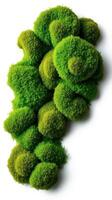 A mossy green plant on a white surface photo