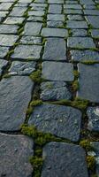 A close up of a cobblestone road with moss growing on it photo