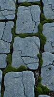 A close up of a stone walkway with moss growing on it photo