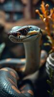 A close up of a snake with its head turned to the side photo