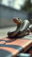 A snake on a skateboard photo