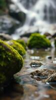 A rock in the water photo