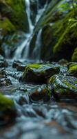 A small stream flowing over rocks in a forest photo