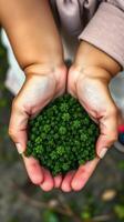 A child holding a small green plant in their hands photo
