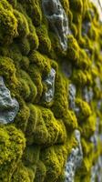 A wall covered with moss and rocks photo