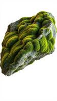 A rock with moss on it is shown photo
