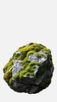 A rock with moss on it is shown in this image photo