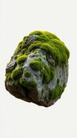 A rock covered in moss is shown in this image photo