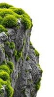 A rock with moss growing on it photo