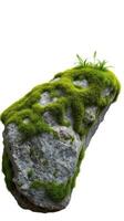 A rock with moss on it and grass growing on it photo