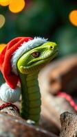 A green snake wearing a santa hat photo