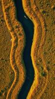 An aerial view of a river flowing through a field photo