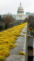 A view of the u.s capitol building from a bridge photo