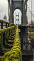 A bridge with moss growing on it photo