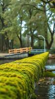 A bridge with moss growing on it photo