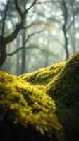 A small green hill with trees and grass photo