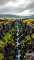 The green grass and water in the middle of a valley photo