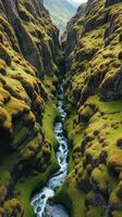 A stream runs through a green valley in iceland photo