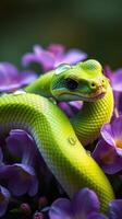 A green snake is sitting on some purple flowers photo