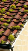 A red tile roof with moss growing on it photo