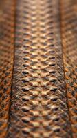 A close up of a snake skin photo