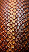 A close up of a snake skin photo